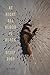At Night All Blood Is Black: A Novel