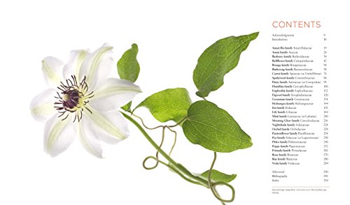 Seeing Flowers: Discover the Hidden Life of Flowers (Seeing Series)