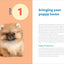 Puppy Training in 7 Easy Steps: Everything You Need to Know to Raise the Perfect Dog
