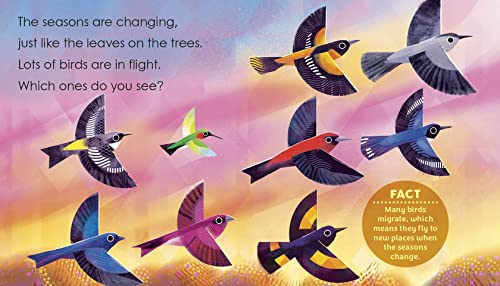 Birding for Babies: Migrating Birds: A Colors Book