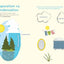 Nature Smarts Workbook: All about Water (Ages 4-6)