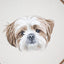 Pet Portrait Embroidery: Lovingly Stitch Your Dog or Cat; A Modern Guide to Thread Painting