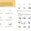 Drawing: Faces & Features: Learn to draw step by step (How to Draw & Paint)