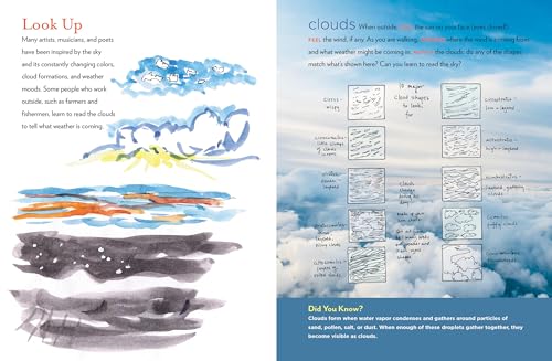 The Curious Nature Guide: Explore the Natural Wonders All Around You