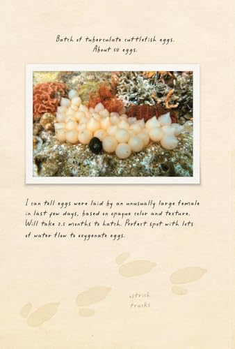 Amphibious Soul: Finding the Wild in a Tame World-A Memoir of Nature's Healing Power