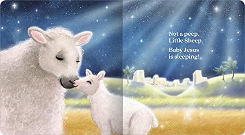Shh... Baby Jesus Is Sleeping