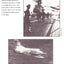 America and Vietnam: The Elephant and the Tiger