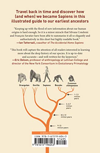 A Pocket History of Human Evolution: How We Became Sapiens — back cover