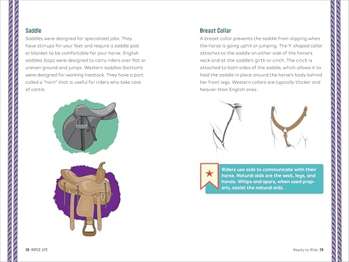 Horse Life: The Ultimate Guide to Caring for and Riding Horses for Kids