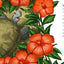 Memoirs of a Tortoise