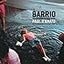 Barrio: Photographs from Chicago's Pilsen and Little Village (Chicago Visions and Revisions)