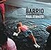 Barrio: Photographs from Chicago's Pilsen and Little Village (Chicago Visions and Revisions)