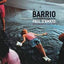 Barrio: Photographs from Chicago's Pilsen and Little Village (Chicago Visions and Revisions)