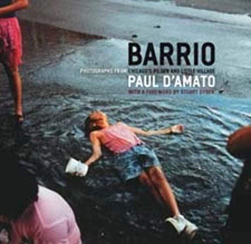 Barrio: Photographs from Chicago's Pilsen and Little Village (Chicago Visions and Revisions)