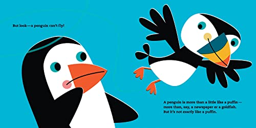 Nothing Like a Puffin