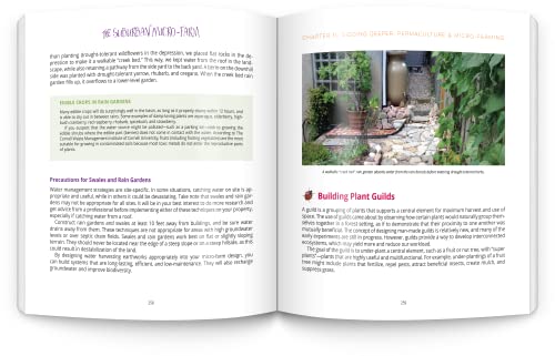 The Suburban Micro-Farm: Modern Solutions for Busy People