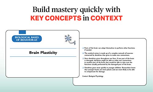 AP Psychology Flashcards (Barron's AP Prep) by McEntarffer P