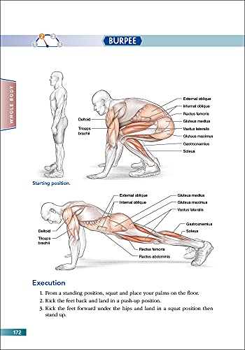 Bodyweight Strength Training Anatomy