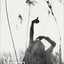 The Frolic of the Beasts (Penguin Modern Classics)