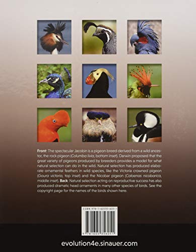 Evolution by Douglas J. Futuyma