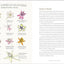 The Milkweed Lands: An Epic Story of One Plant: Its Nature and Ecology