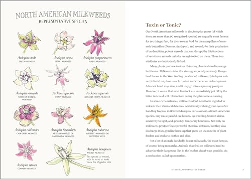 The Milkweed Lands: An Epic Story of One Plant: Its Nature and Ecology