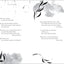 Love by Night: A Book of Poetry