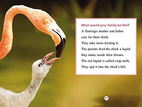 Ranger Rick: I Wish I Was a Flamingo (I Can Read Level 1)