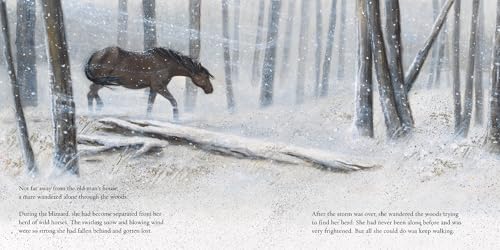 Winter's Gift