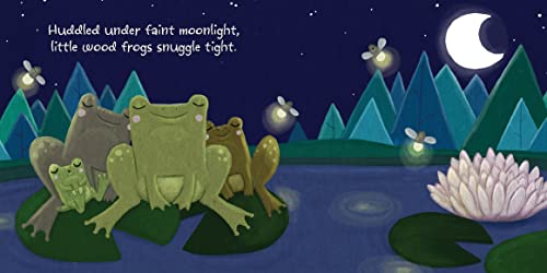 Night-Night, Forest Friends