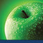 Mathematics for Elementary School Teachers