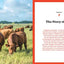 Franklin Steak: Dry-Aged. Live-Fired. Pure Beef. [A Cookbook]
