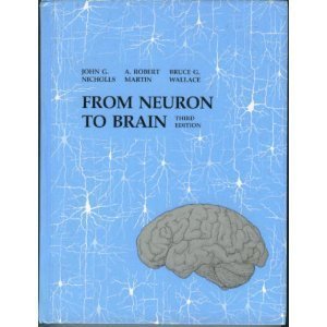 From Neuron to Brain A Cellular and Molecular Approach to the Function of the Nervous System