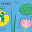 Hello, Frog: Touch, Feel, and Reveal