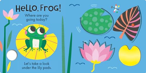 Hello, Frog: Touch, Feel, and Reveal