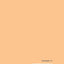 The History of Indian Literature (Trubner's Oriental Series)