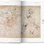 Michelangelo, 1475-1564: The Graphic Work