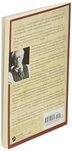 A Little Book on the Human Shadow: A Poetic Journey
