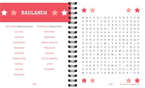 Brain Games - USA Word Search - Large Print (Brain Games Large Print)