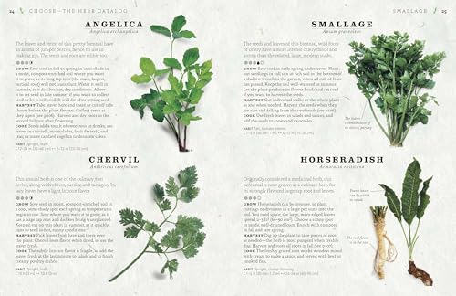 The Cook's Herb Garden: Grow, Harvest, Cook