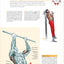 Delavier's Anatomy for Bigger, Stronger Arms