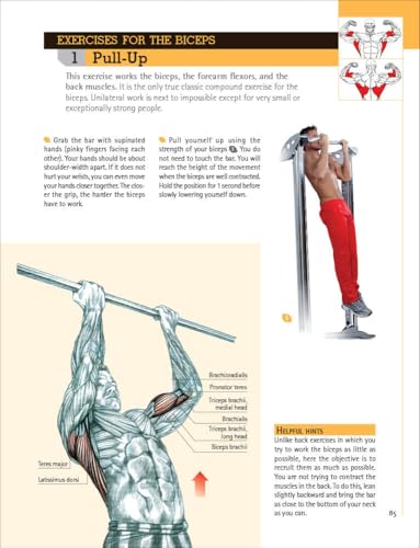 Delavier's Anatomy for Bigger, Stronger Arms