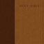 Premium Value Slimline Bible NLT, TuTone (LeatherLike, Brown
