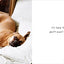 If Dogs Could Talk