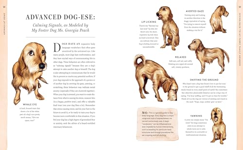 Do Unto Animals: A Friendly Guide to How Animals Live, and How We Can Make Their Lives Better