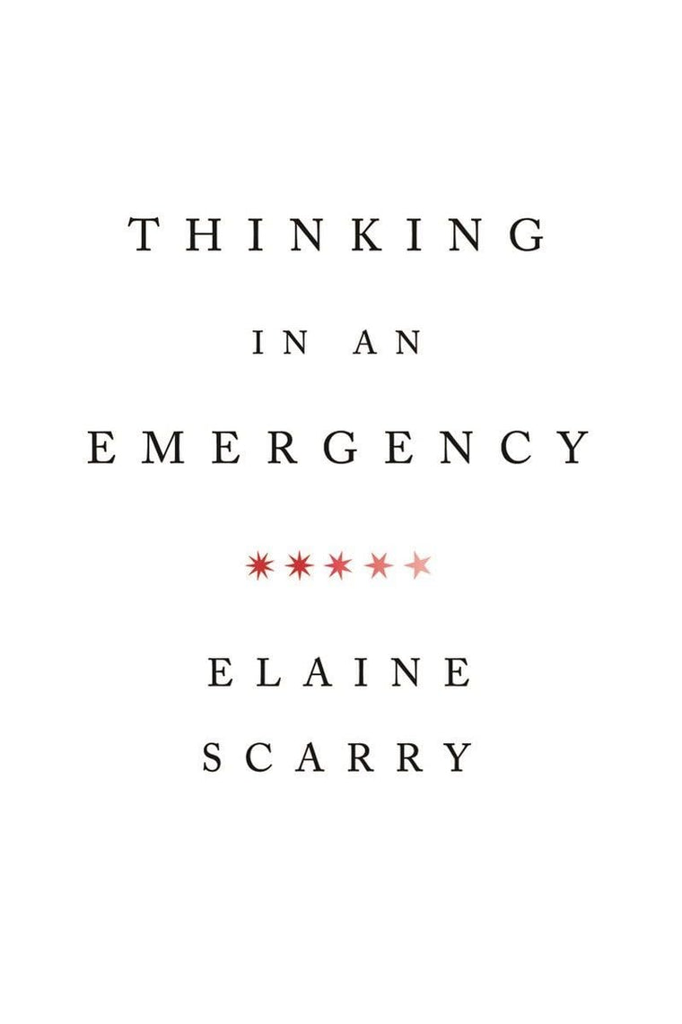 Thinking in an Emergency (Norton Global Ethics Series)