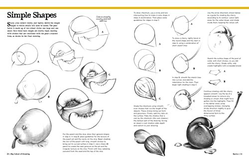 Big School of Drawing: Well-explained, practice-oriented drawing instruction for the beginning artist (Big School of Drawing, 1)