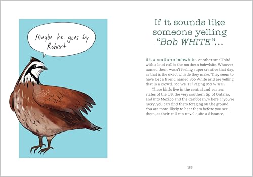 Bird Talk: Hilariously Accurate Ways to Identify Birds by the Sounds They Make