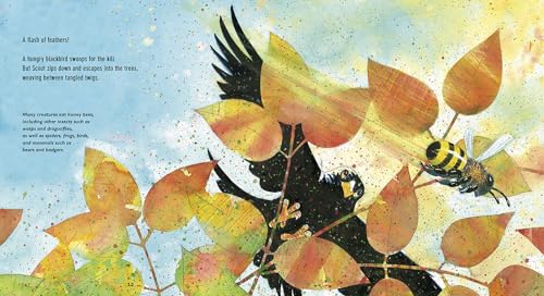 Flight of the Honey Bee: Read and Wonder — back cover