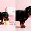 Healthy Homemade Dog Treats: More than 70 Simple & Delicious Treats for Your Furry Best Friend